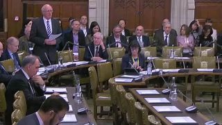 영국 의회, 중국의 강제 생체 장기 적출 문제 토론
